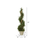 Vickerman FG190342 42