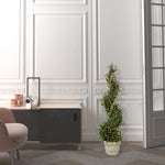 Vickerman FG190342 42