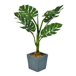 Vickerman FH193036 36