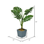 Vickerman FH193036 36