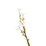 Vickerman FI180401 19