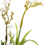 Vickerman FI180401 19