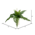 Vickerman FI180601 16
