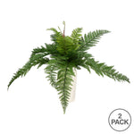 Vickerman FI180601 16