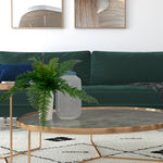 Vickerman FI180601 16