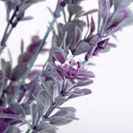 Vickerman FI180801 18.5