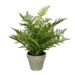 Vickerman FJ190419 19