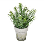 Vickerman FJ190612 12.5