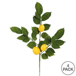 Vickerman FK170701-4 20