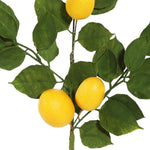 Vickerman FK170701-4 20