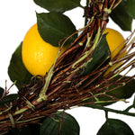 Vickerman FK170702 24