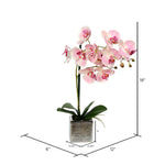 Vickerman FN180501 18