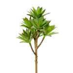 Vickerman FO181201 8