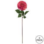Vickerman FQ180603 24