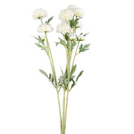 Vickerman FR190101 27