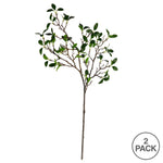 Vickerman FR191704 38.5