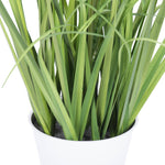 Vickerman FV190532 32