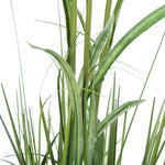 Vickerman FV190532 32