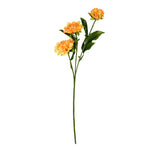 Vickerman FV190642 17