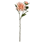 Vickerman FV190862 17