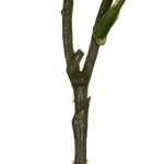 Vickerman FV190862 17