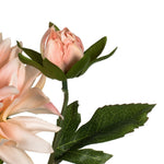 Vickerman FV190862 17