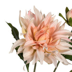Vickerman FV190862 17