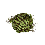 Vickerman FV192301 4