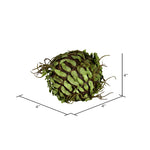 Vickerman FV192301 4