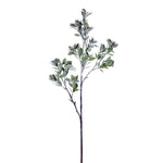 Vickerman FV193831 31