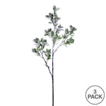 Vickerman FV193831 31