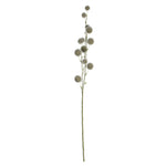 Vickerman FV193904 31