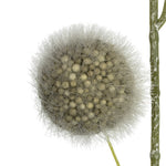 Vickerman FV193904 31