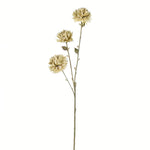 Vickerman FV194603 24