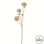 Vickerman FV194603 24