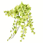 Vickerman FZ190328 28
