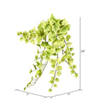 Vickerman FZ190328 28