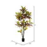 Vickerman TB170672 6' Potted Green & Orange Cronton Tree