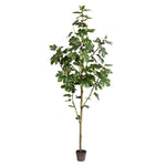 Vickerman TB180496 8' Artificial Potted Fig Tree