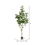 Vickerman TB180496 8' Potted Fig Tree