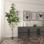 Vickerman TB180496 8' Fig Tree