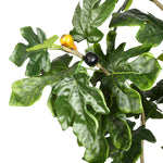 Vickerman TB180496 8' Artificial Fig Tree
