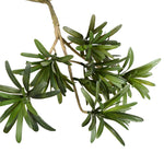 Vickerman TB180848 4' Artificial Podocarpus Tree