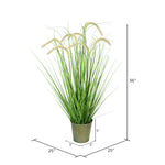 Vickerman TD190136 36
