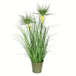 Vickerman TD190224 24