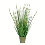 Vickerman TD190434 34
