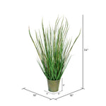 Vickerman TD190434 34