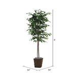 Vickerman TEC0160-0414 6' Ficus Tree in a Square Willow Basket
