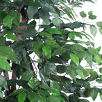 Vickerman TEX0160 6' Artificial Ficus Tree in Rattan Basket