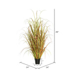 Vickerman TN170848 48